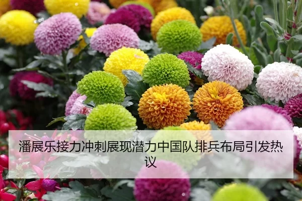 潘展乐接力冲刺展现潜力中国队排兵布局引发热议