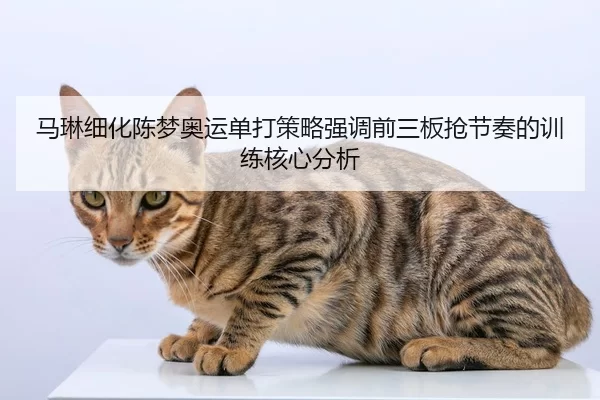 马琳细化陈梦奥运单打策略强调前三板抢节奏的训练核心分析